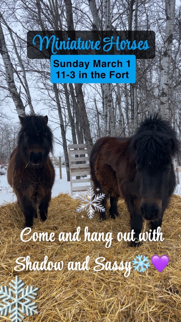 Fort Winter Festival